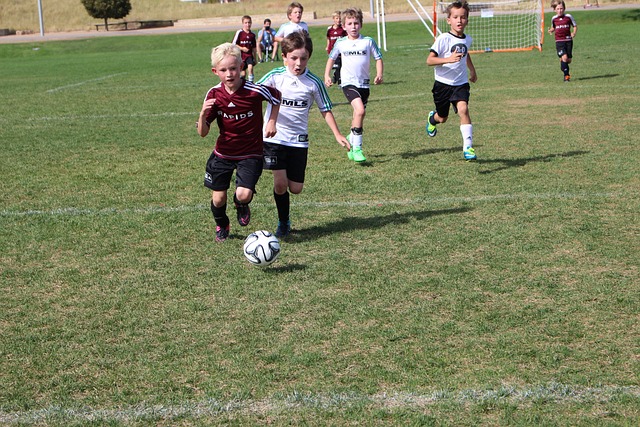 完备的青训 完备的青训