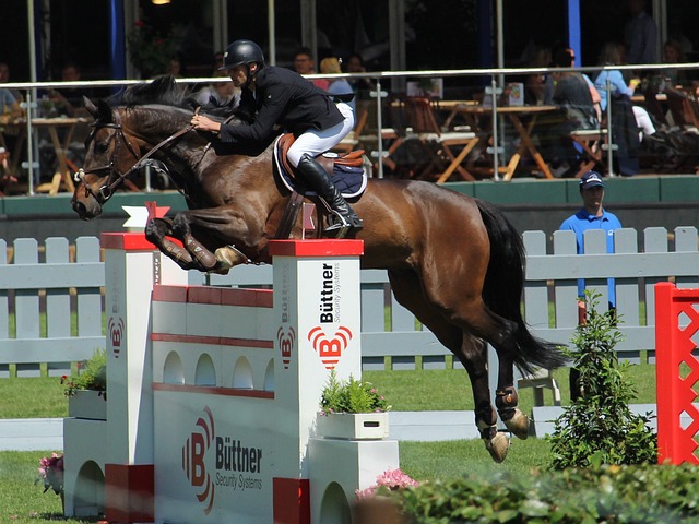 支链氨基酸 支链氨基酸