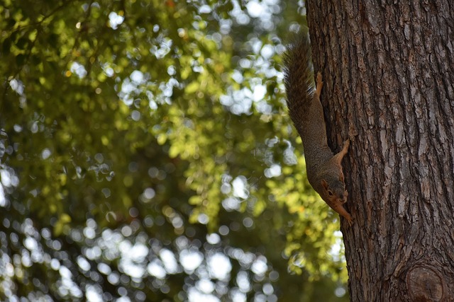 導對我職業 導對我職業