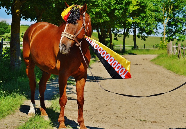 体协作和防 体协作和防