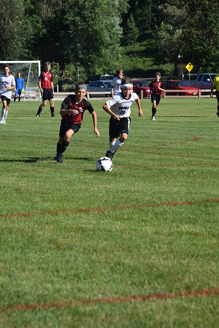 又共鸣的文 又共鸣的文