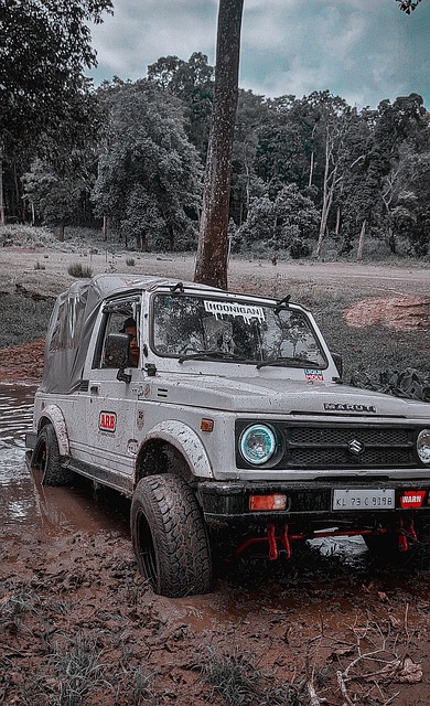 还关乎球队 还关乎球队