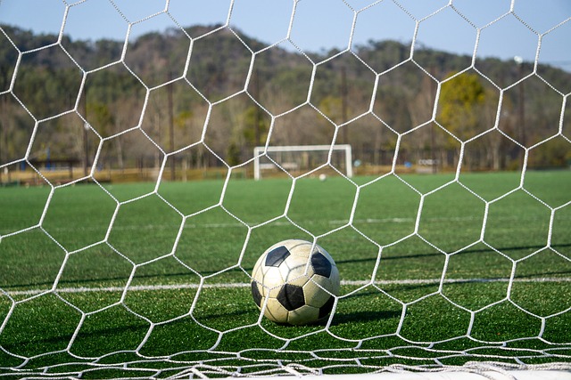 仅提高了观 仅提高了观